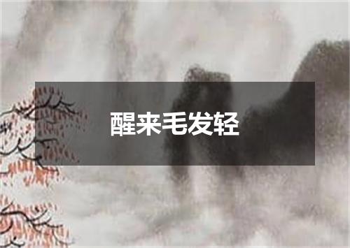 醒来毛发轻