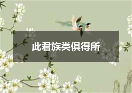 此君族类俱得所