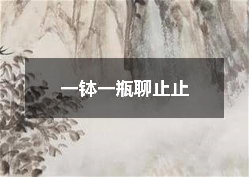 一钵一瓶聊止止