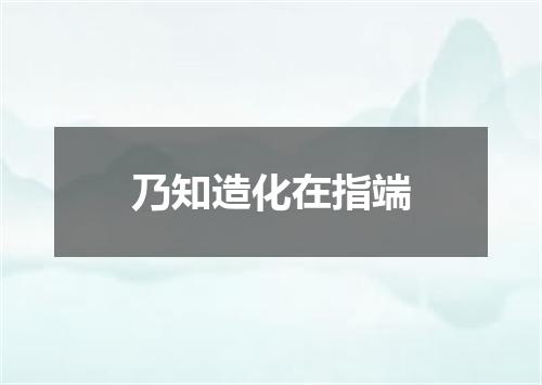 乃知造化在指端