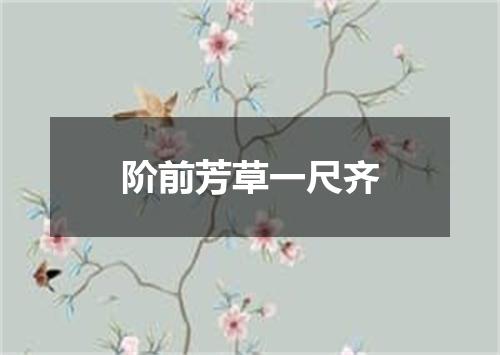 阶前芳草一尺齐