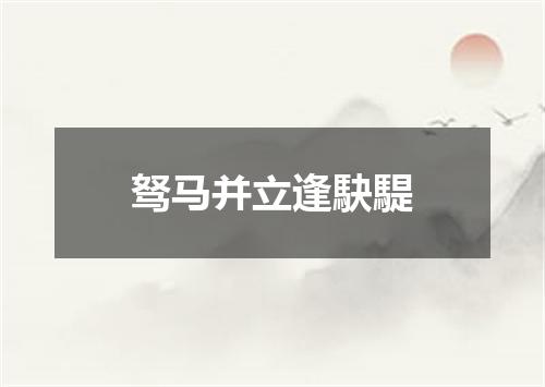 驽马并立逢駃騠