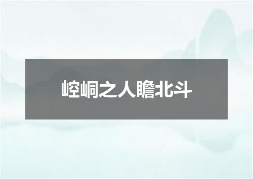 崆峒之人瞻北斗