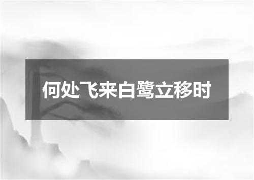 何处飞来白鹭立移时