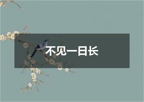 不见一日长