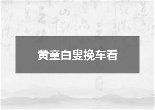 黄童白叟挽车看
