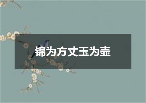 锦为方丈玉为壶