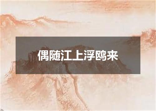 偶随江上浮鸥来