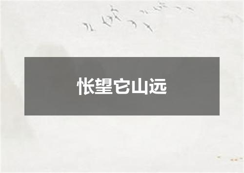 怅望它山远