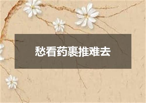 愁看药裹推难去