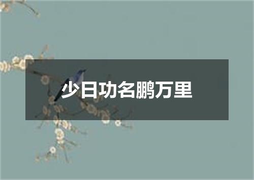 少日功名鹏万里