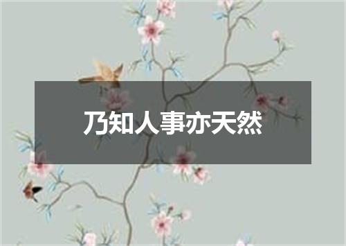 乃知人事亦天然