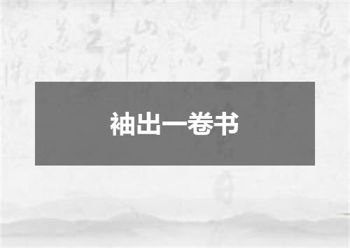 袖出一卷书