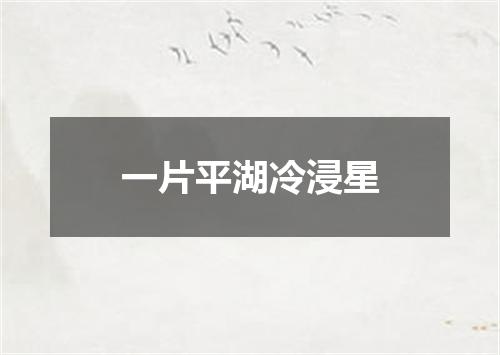 一片平湖冷浸星