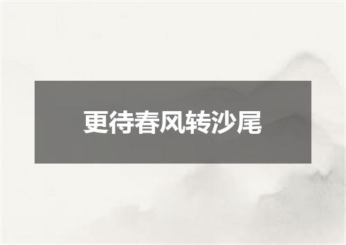 更待春风转沙尾