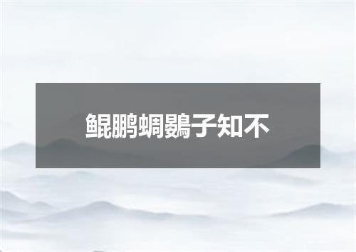 鲲鹏蜩鷃子知不