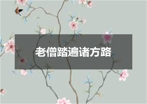 老僧踏遍诸方路