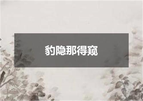 豹隐那得窥