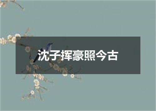 沈子挥豪照今古