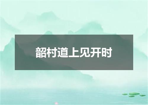 韶村道上见开时
