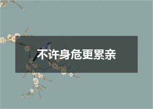 不许身危更累亲
