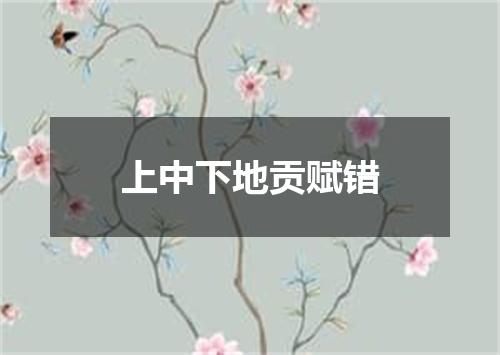 上中下地贡赋错