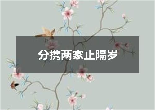 分携两家止隔岁