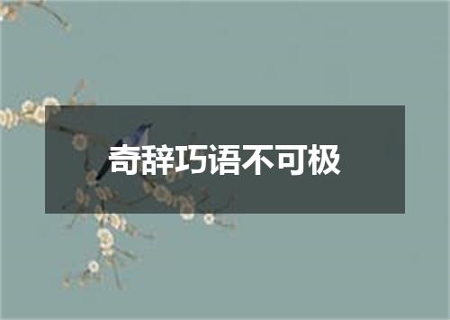 奇辞巧语不可极