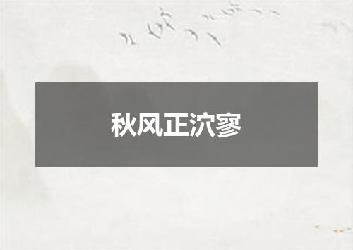 秋风正泬寥