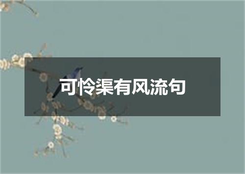 可怜渠有风流句