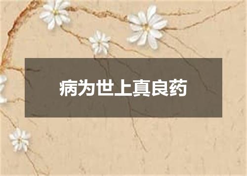 病为世上真良药