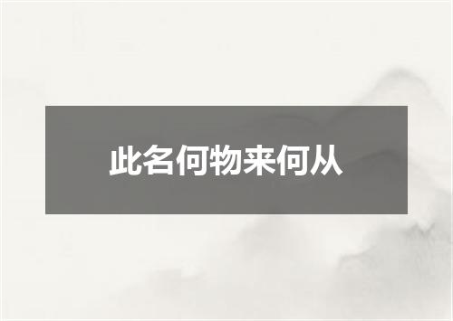 此名何物来何从