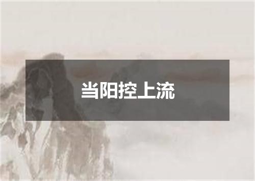当阳控上流