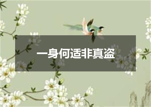 一身何适非真盗