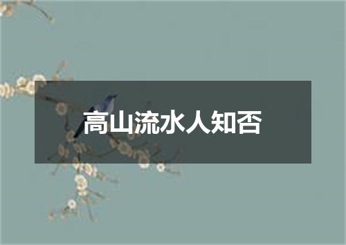 高山流水人知否