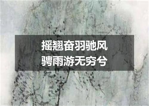 摇翘奋羽驰风骋雨游无穷兮