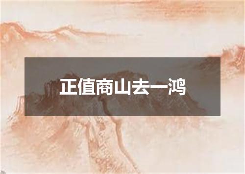 正值商山去一鸿
