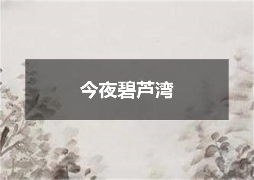 今夜碧芦湾