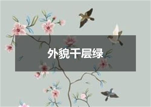 外貌千层绿