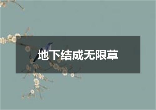 地下结成无限草