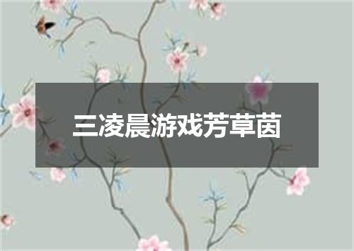 三凌晨游戏芳草茵