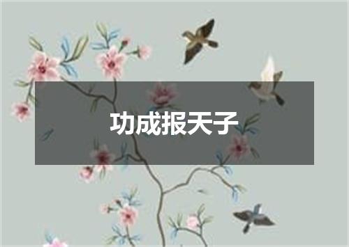 功成报天子