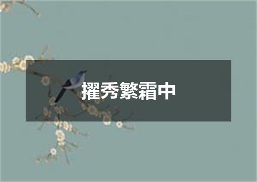 擢秀繁霜中