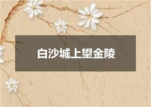 白沙城上望金陵