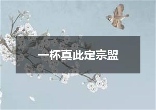 一杯真此定宗盟