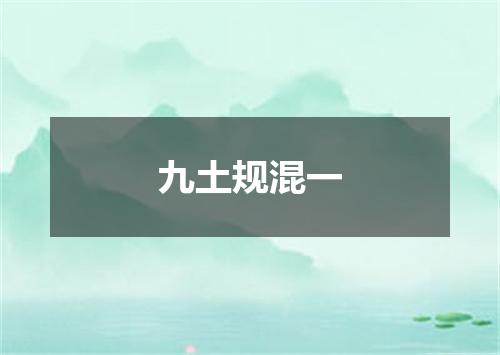 九土规混一