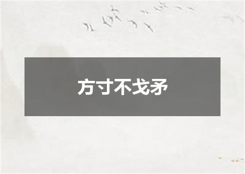 方寸不戈矛