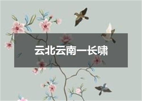 云北云南一长啸