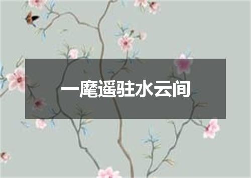 一麾遥驻水云间
