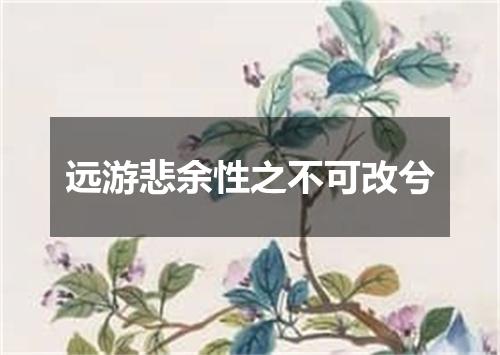 远游悲余性之不可改兮
